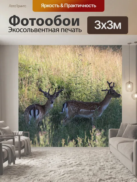 Фотообои Замша