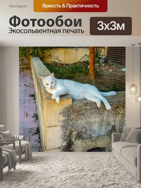 Фотообои Бродячий кот в Греции