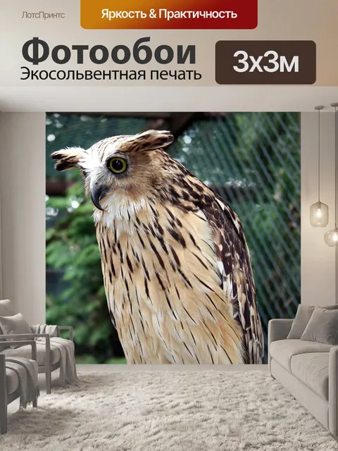 Фотообои Птицы
