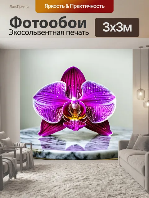 Фотообои орхидея, расположенная на мраморном столе, с каплями росы на ее лепестках