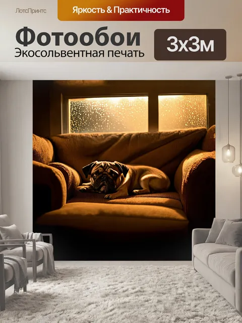 Фотообои маленький мопс, свернувшись калачиком на своём любимом диване, нежно сопит в полумраке