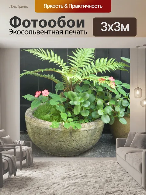 Фотообои Бетон горшок с Папоротник