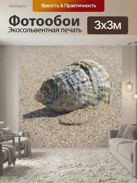 Фотообои Морская ракушка