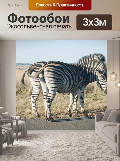 Фотообои две зебры рядом с дорогой
