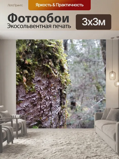 Фотообои Дерево