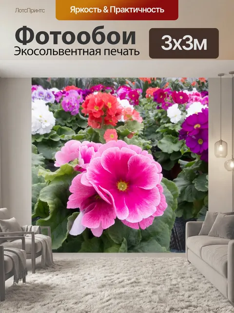 Фотообои Первоцветы