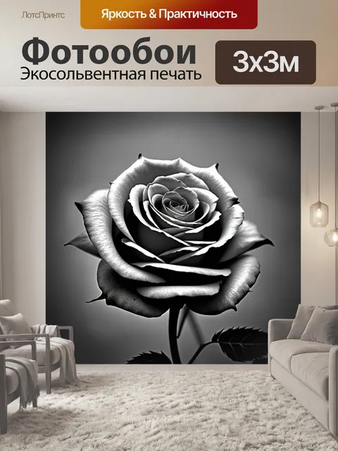 Фотообои розы в стиле черно-белый, с фоном из размытых оттенков серого, создающим эффект глубины