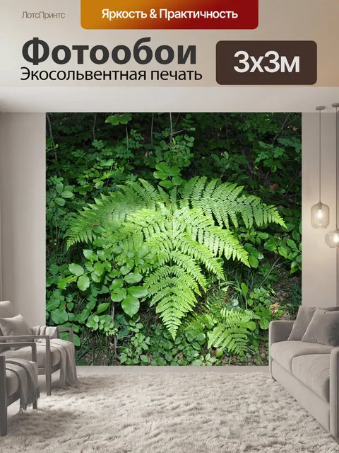 Фотообои Папоротник