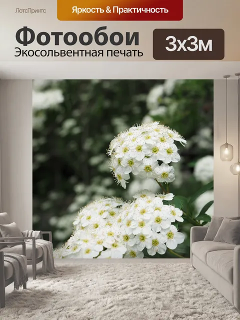 Фотообои Цветы