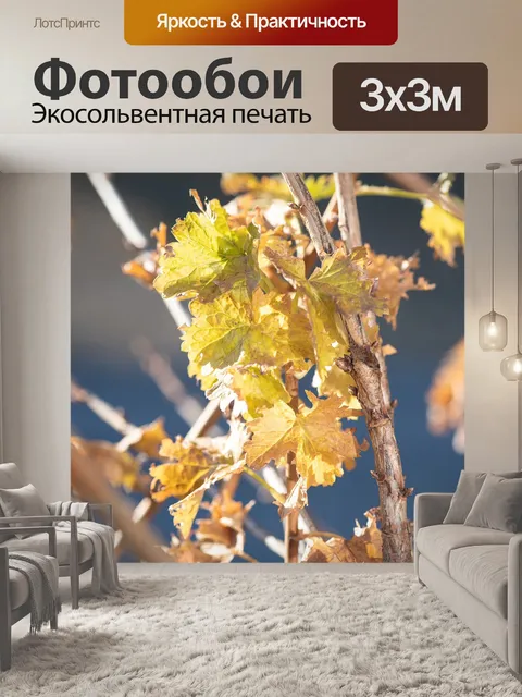 Фотообои Листья
