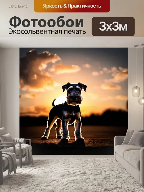 Фотообои цвергшнауцер на фоне вечернего неба, где солнце садится, окрашивая облака в теплые оттенки