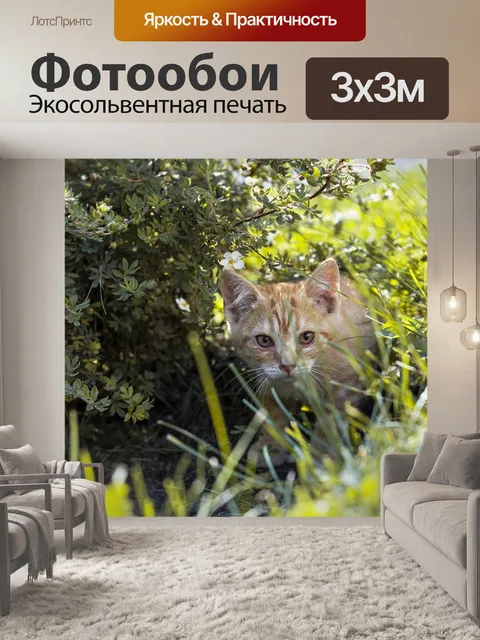 Фотообои Котик