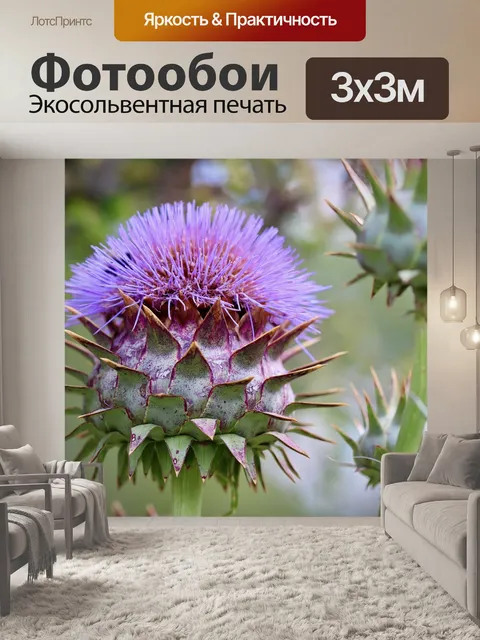 Фотообои Артишок