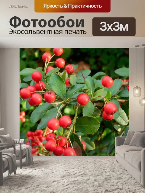 Фотообои Hlohyně алой