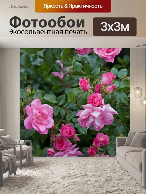 Фотообои Цветы, розовые розы