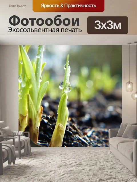 Фотообои Стреляет