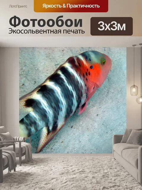 Фотообои Тропические рыбы