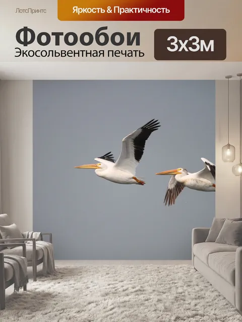 Фотообои Пеликаны