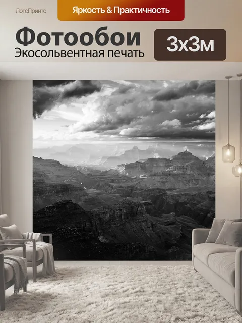 Фотообои Черное и белое