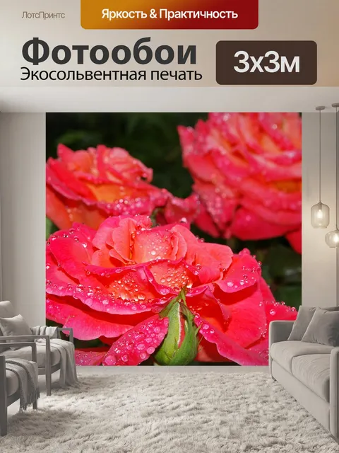 Фотообои Роза