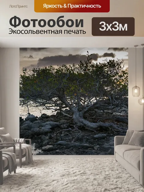 Фотообои Диви