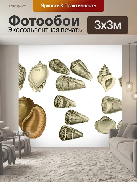 Фотообои Ракушки Морская Ракушка Клипарт Винтаж