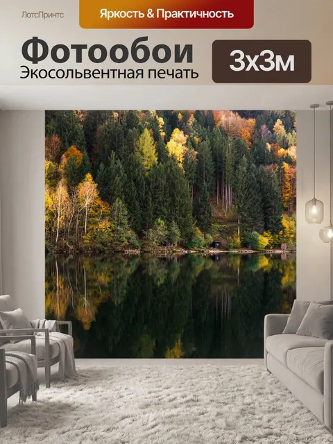Фотообои Лес