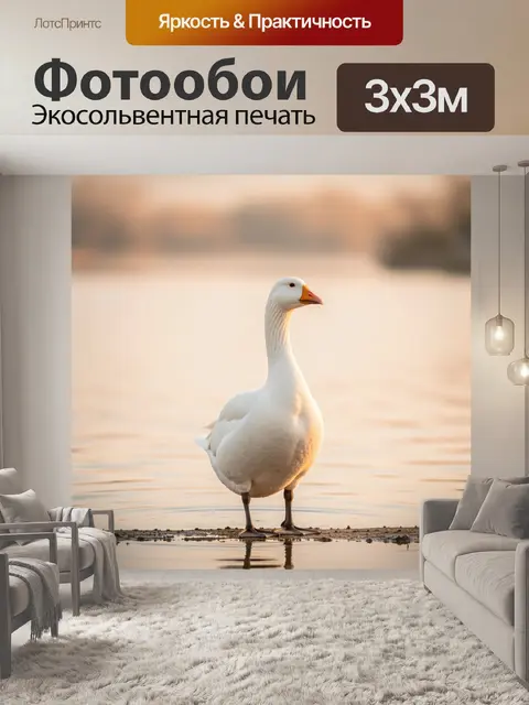 Фотообои Белая гусыня у воды