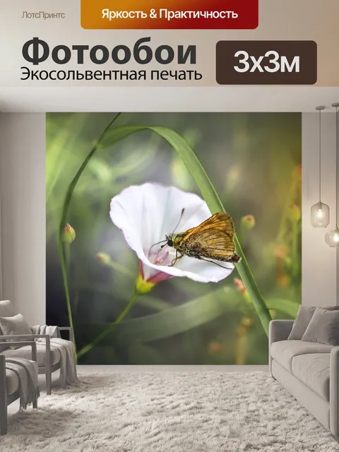 Фотообои Шкипер