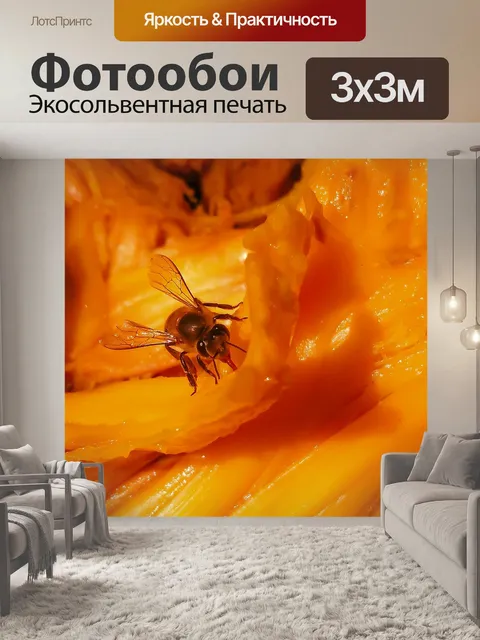 Фотообои Пчела