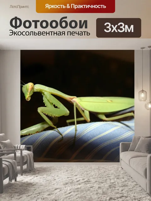 Фотообои Молиться