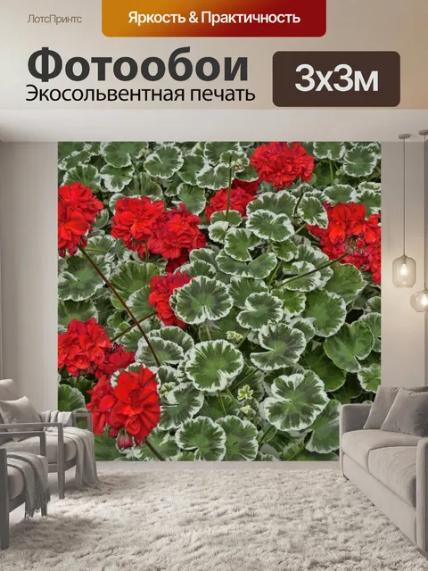 Фотообои Красный герань