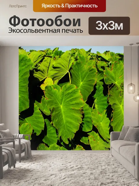 Фотообои Таро