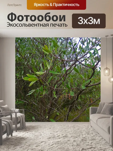 Фотообои небольшое дерево с зелеными листьями