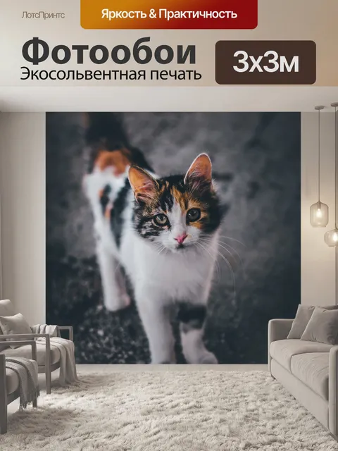 Фотообои Кошка
