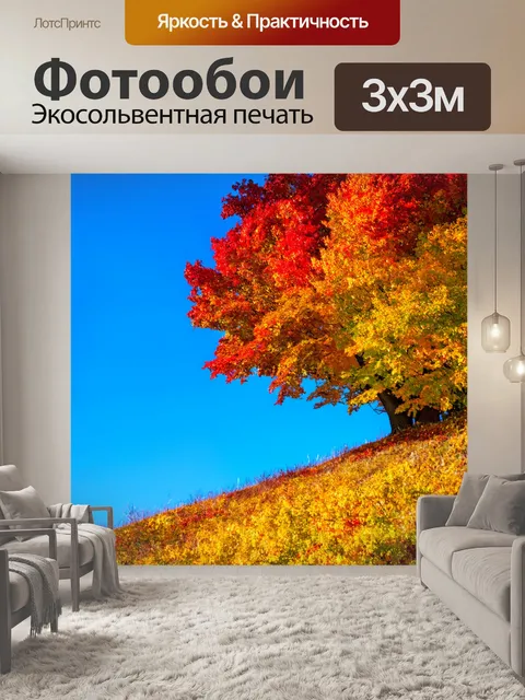 Фотообои осенние деревья, окрашенные в красный и желтый, на вершине холма
