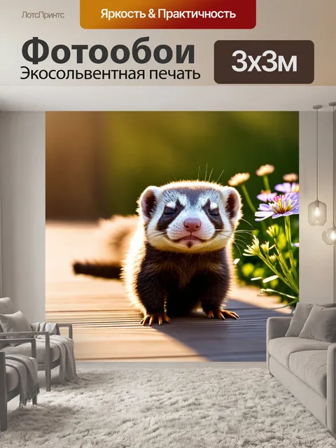 Фотообои на фоне утреннего солнца