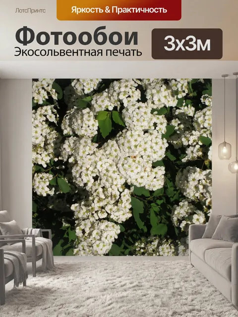 Фотообои Цветов