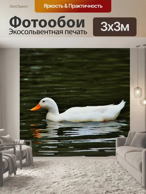 Фотообои белая утка на пруду