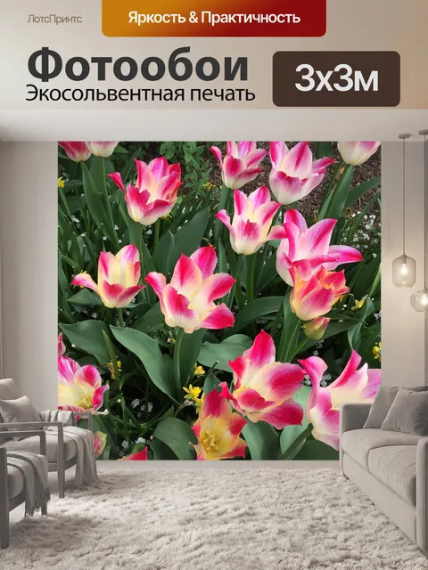 Фотообои Розовый