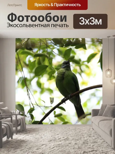 Фотообои Птица