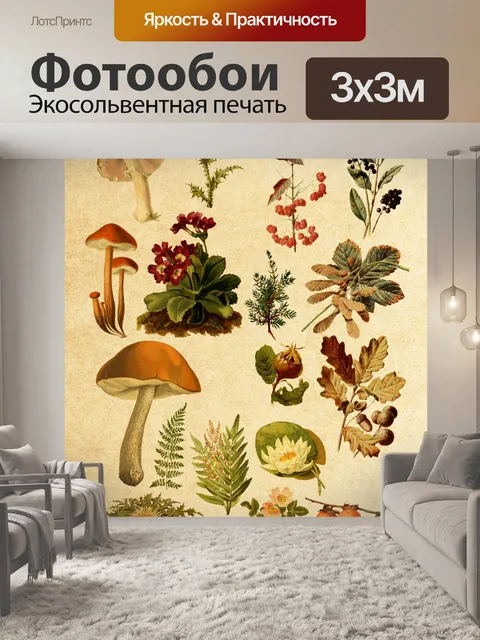 Фотообои Старинные ботанические растения и грибы