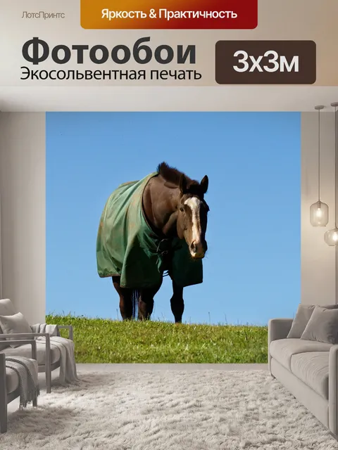 Фотообои Лошадь в поле