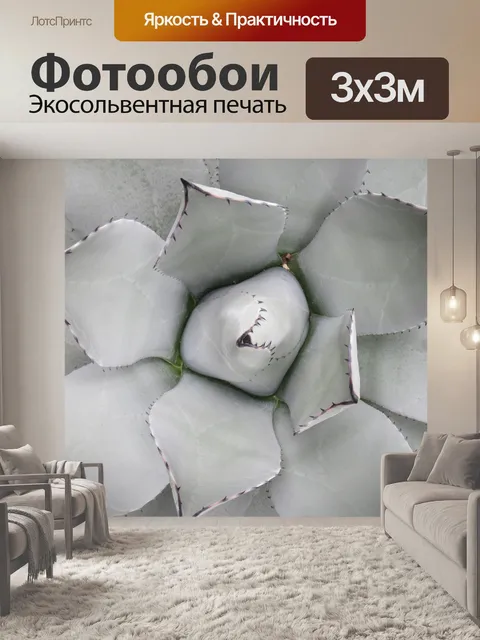 Фотообои Кактус