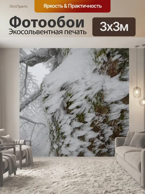 Фотообои Зима