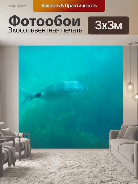 Фотообои Дайвинг