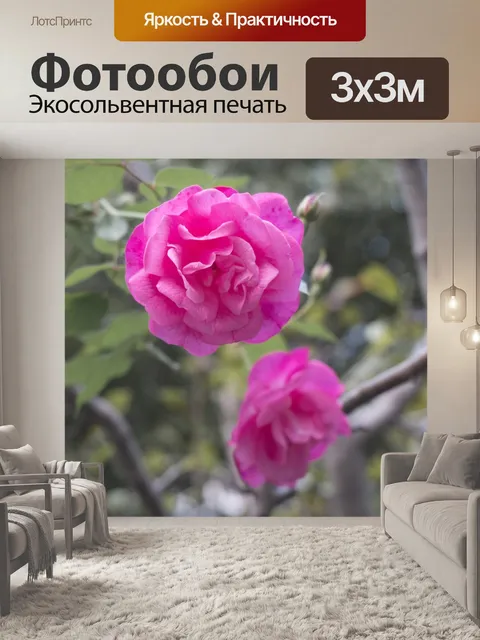Фотообои Розовый