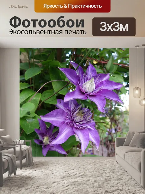 Фотообои Сады