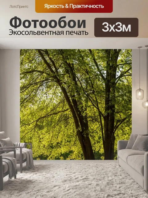 Фотообои Ореховое дерево