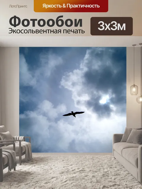 Фотообои Птица в полете